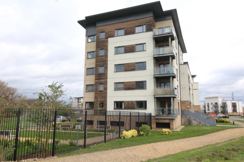 View Full Details for Hammonds Drive, Peterborough